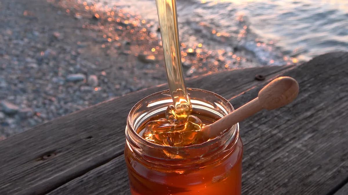 Honey from Greek forests